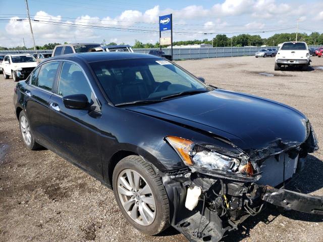 HONDA ACCORD EXL 2011 1hgcp3f87ba005816