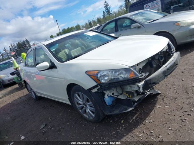 HONDA ACCORD 2011 1hgcp3f87ba007291