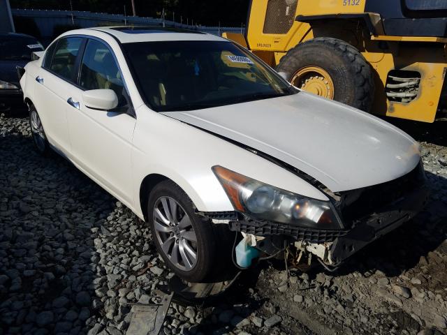 HONDA ACCORD EXL 2011 1hgcp3f87ba008117