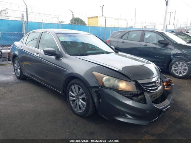 HONDA ACCORD 2011 1hgcp3f87ba010059