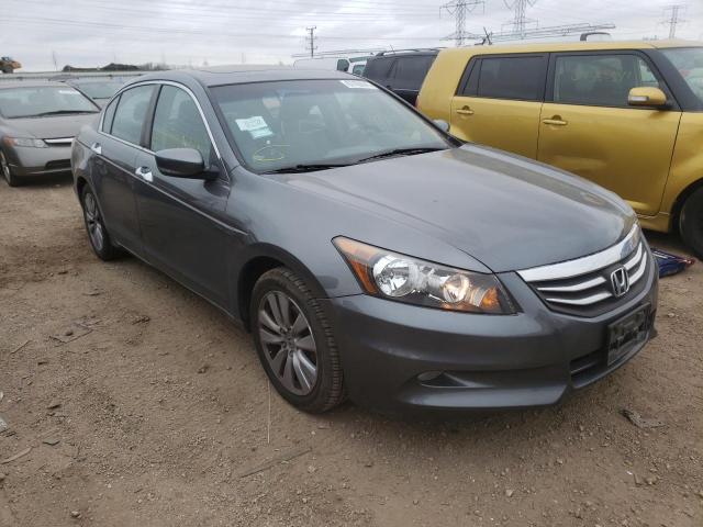 HONDA ACCORD EXL 2011 1hgcp3f87ba011602