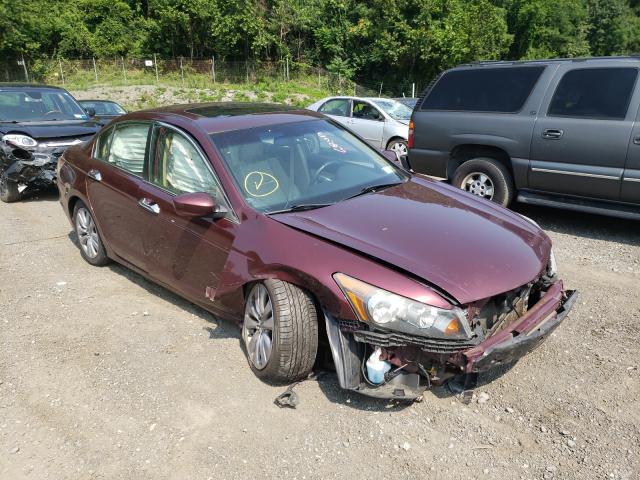 HONDA ACCORD EXL 2011 1hgcp3f87ba015598