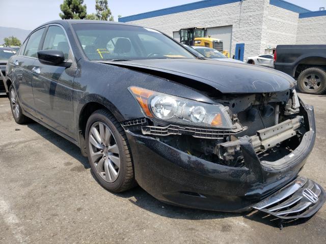 HONDA ACCORD EXL 2011 1hgcp3f87ba016332