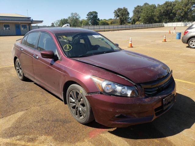 HONDA ACCORD EXL 2011 1hgcp3f87ba017254