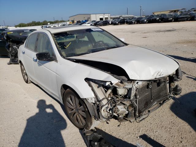 HONDA ACCORD EXL 2011 1hgcp3f87ba025192