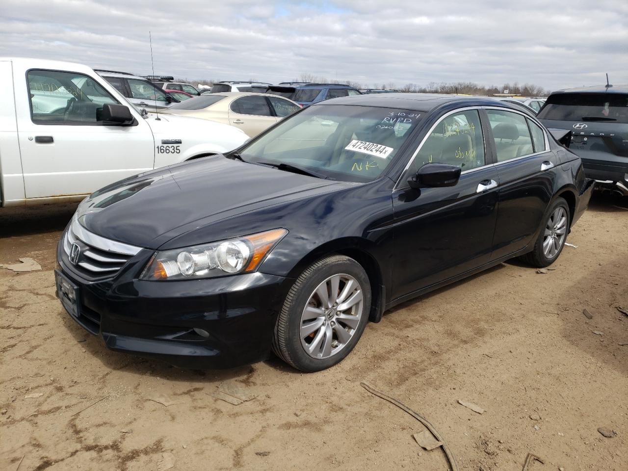 HONDA ACCORD 2011 1hgcp3f87ba026083