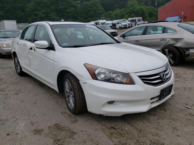 HONDA ACCORD EXL 2011 1hgcp3f87ba026357