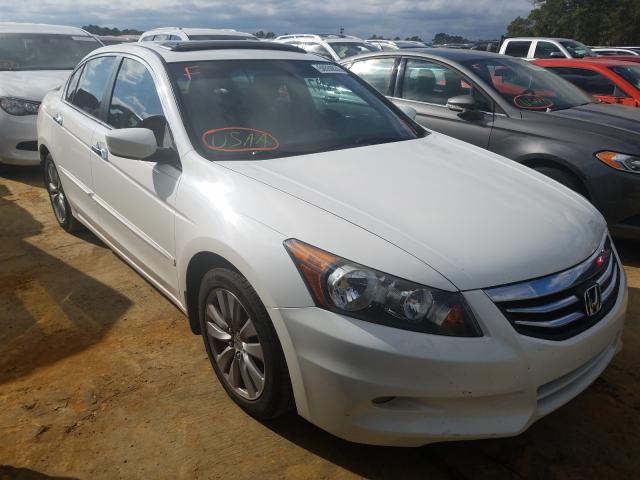 HONDA ACCORD EXL 2011 1hgcp3f87ba027976