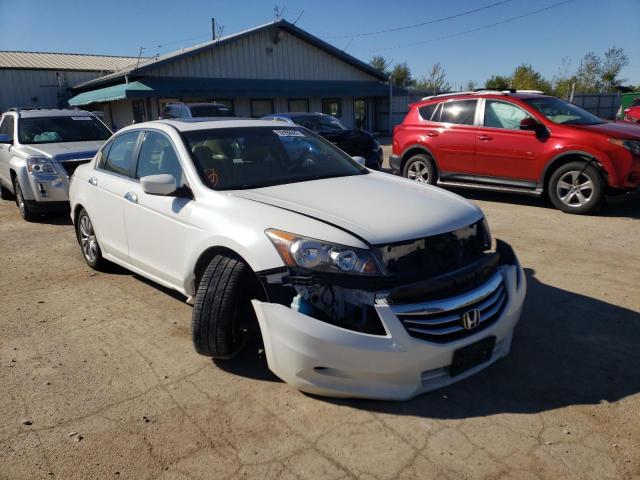 HONDA ACCORD EXL 2011 1hgcp3f87ba031607