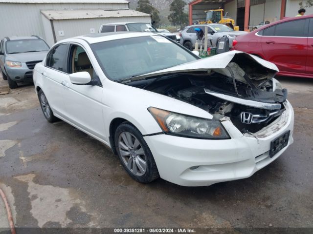 HONDA ACCORD 2011 1hgcp3f87ba031817