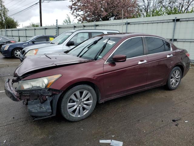 HONDA ACCORD 2011 1hgcp3f87ba032806