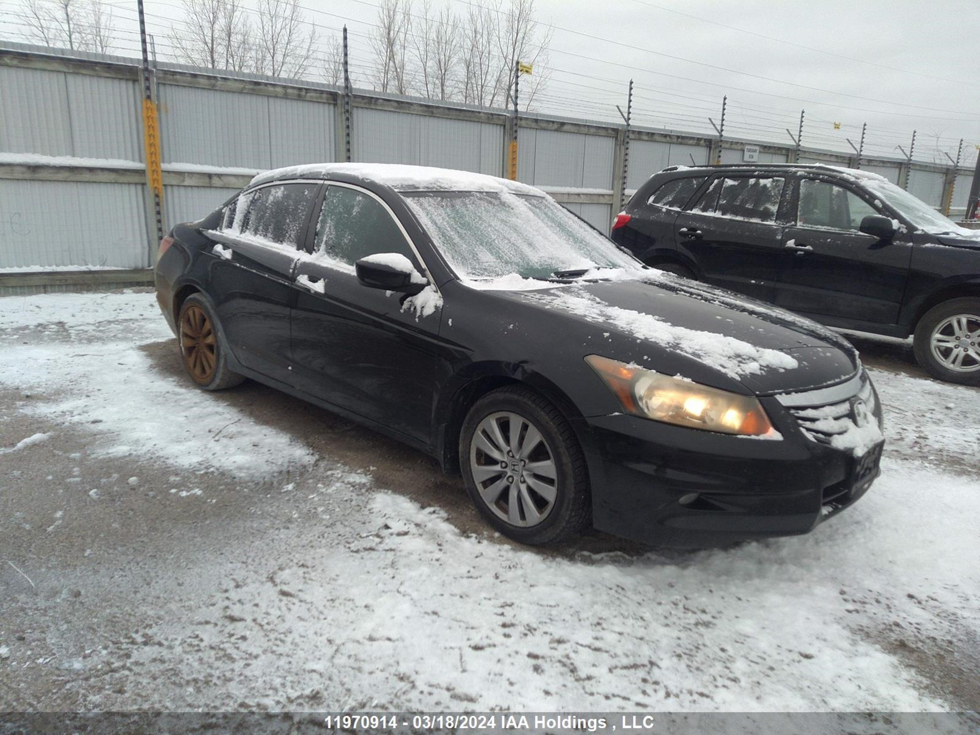 HONDA ACCORD 2011 1hgcp3f87ba800557