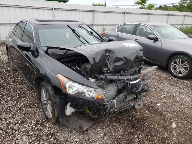 HONDA ACCORD EXL 2012 1hgcp3f87ca017014