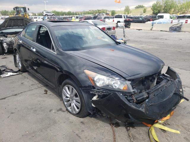 HONDA ACCORD EXL 2012 1hgcp3f87ca017787