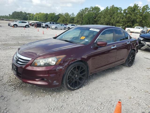 HONDA ACCORD 2012 1hgcp3f87ca034573