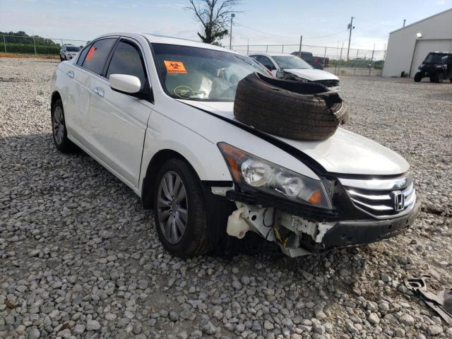 HONDA ACCORD EXL 2012 1hgcp3f87ca042494