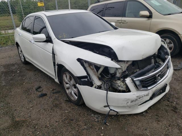 HONDA ACCORD EXL 2010 1hgcp3f88aa003264