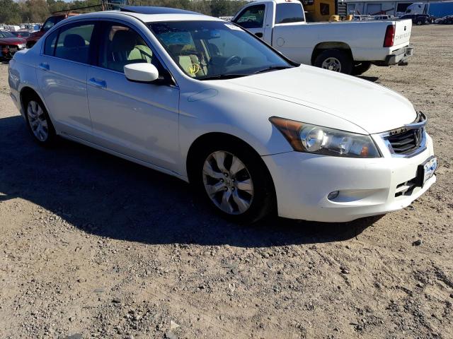 HONDA ACCORD EXL 2010 1hgcp3f88aa008741