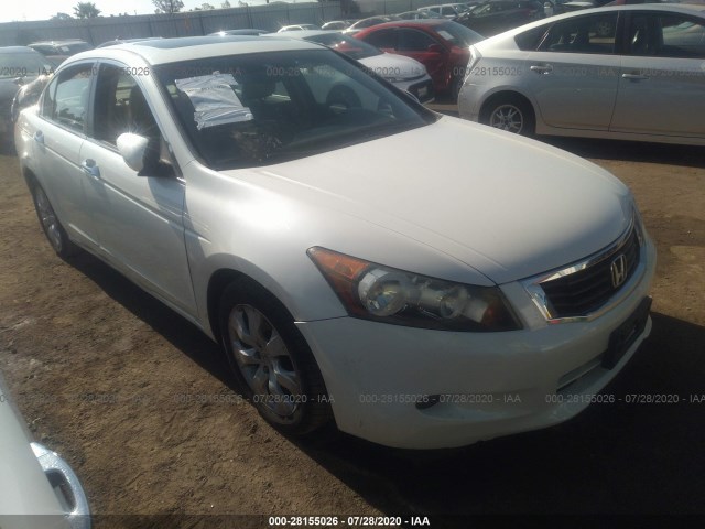 HONDA ACCORD SDN 2010 1hgcp3f88aa028469