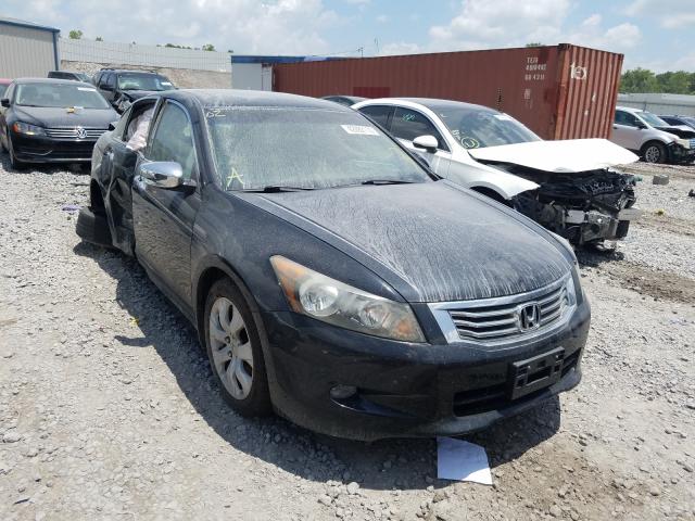 HONDA ACCORD EXL 2010 1hgcp3f88aa029508