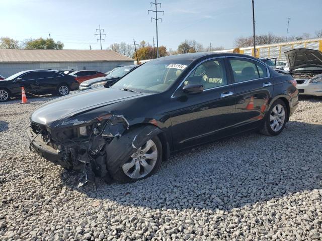 HONDA ACCORD EXL 2010 1hgcp3f88aa029511