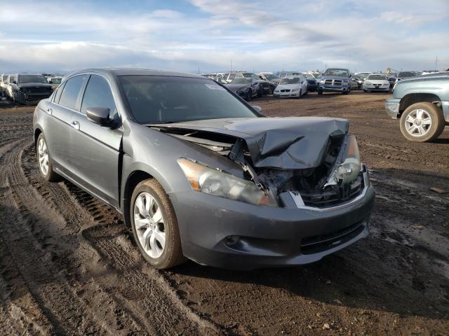 HONDA ACCORD EXL 2010 1hgcp3f88aa031209