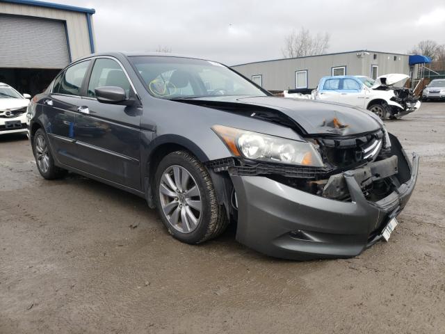 HONDA ACCORD EXL 2011 1hgcp3f88ba000902