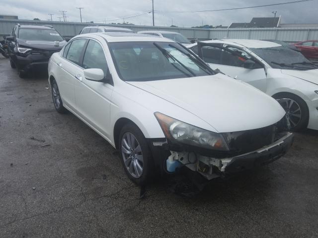 HONDA ACCORD EXL 2011 1hgcp3f88ba005081