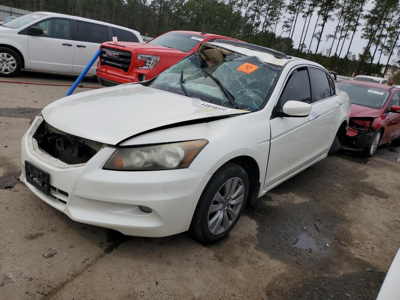 HONDA ACCORD 2011 1hgcp3f88ba005100