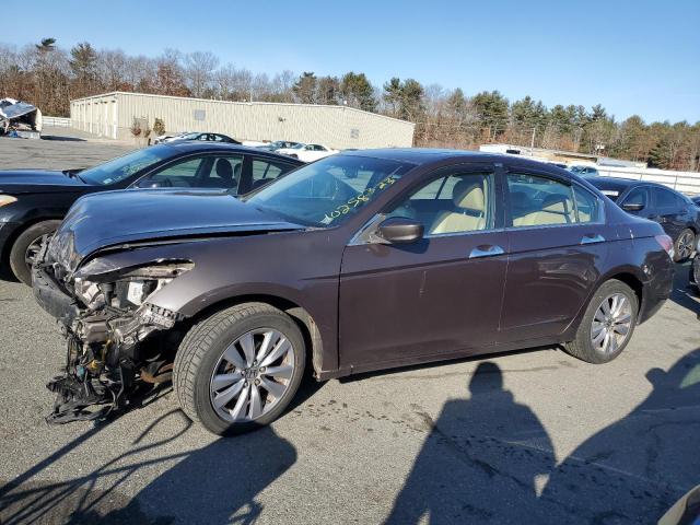 HONDA ACCORD EXL 2011 1hgcp3f88ba005243