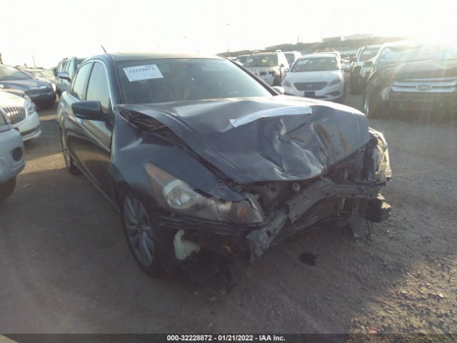 HONDA ACCORD SDN 2011 1hgcp3f88ba008790