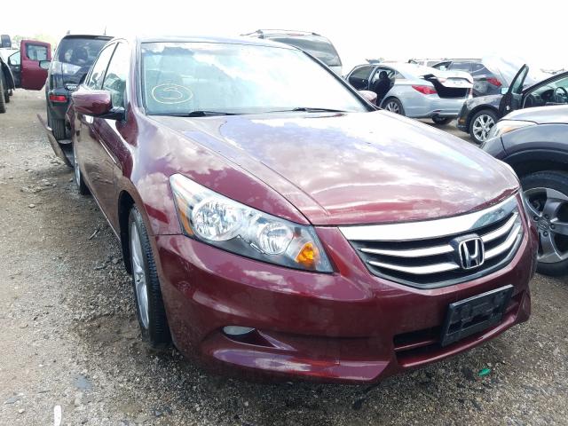 HONDA ACCORD EXL 2011 1hgcp3f88ba009485