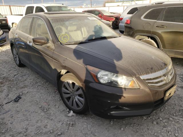 HONDA ACCORD EXL 2011 1hgcp3f88ba010507