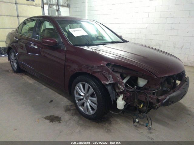 HONDA ACCORD SDN 2011 1hgcp3f88ba011687