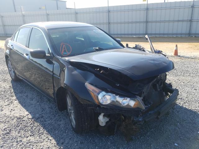 HONDA ACCORD EXL 2011 1hgcp3f88ba013522