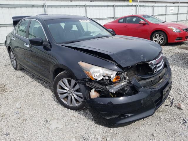 HONDA ACCORD EXL 2011 1hgcp3f88ba014816