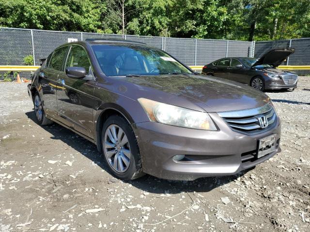 HONDA ACCORD EXL 2011 1hgcp3f88ba014993