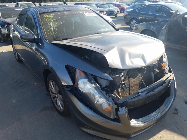 HONDA ACCORD EXL 2011 1hgcp3f88ba015514