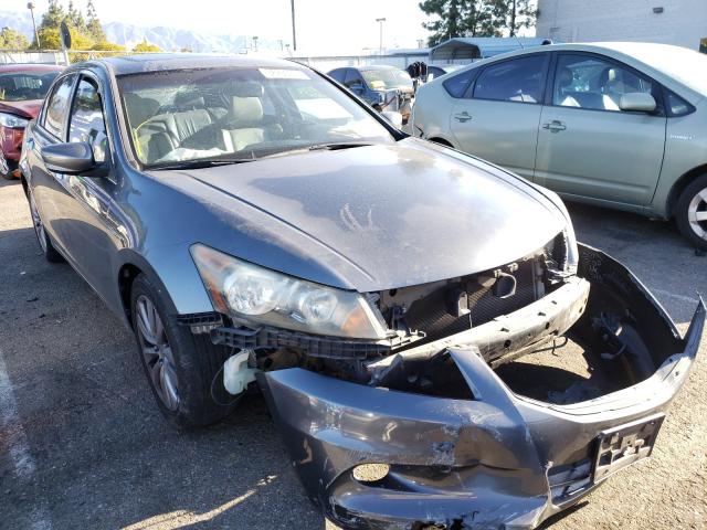 HONDA ACCORD EXL 2011 1hgcp3f88ba017425