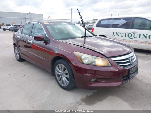 HONDA ACCORD 2011 1hgcp3f88ba021801