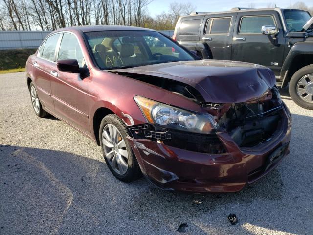 HONDA ACCORD EXL 2011 1hgcp3f88ba021832