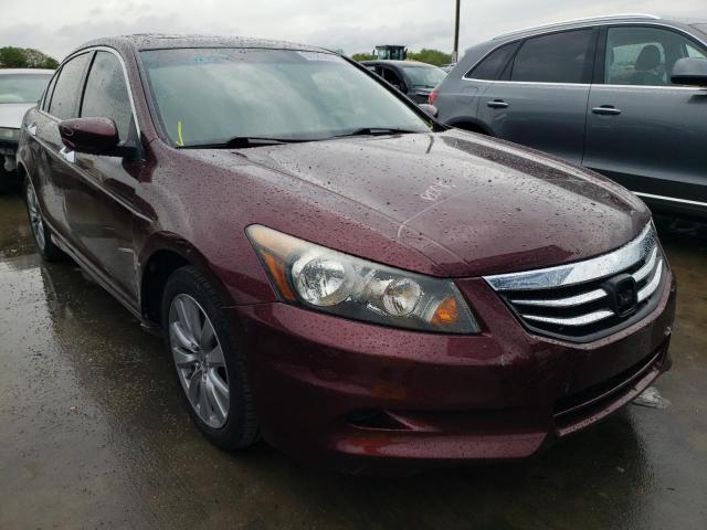 HONDA ACCORD EXL 2011 1hgcp3f88ba024309