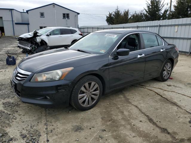 HONDA ACCORD 2011 1hgcp3f88ba024732