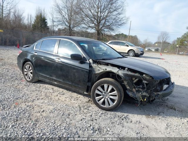 HONDA ACCORD 2011 1hgcp3f88ba026061