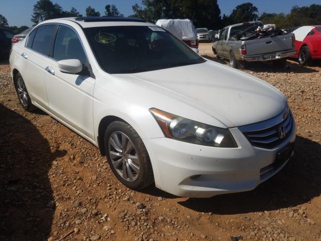 HONDA ACCORD EXL 2011 1hgcp3f88ba028151