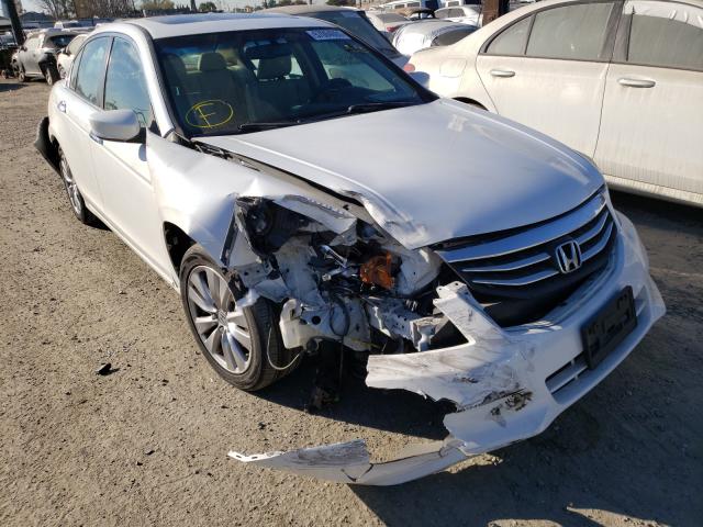 HONDA ACCORD EXL 2011 1hgcp3f88ba028506