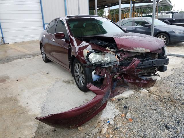 HONDA ACCORD EXL 2011 1hgcp3f88ba028635