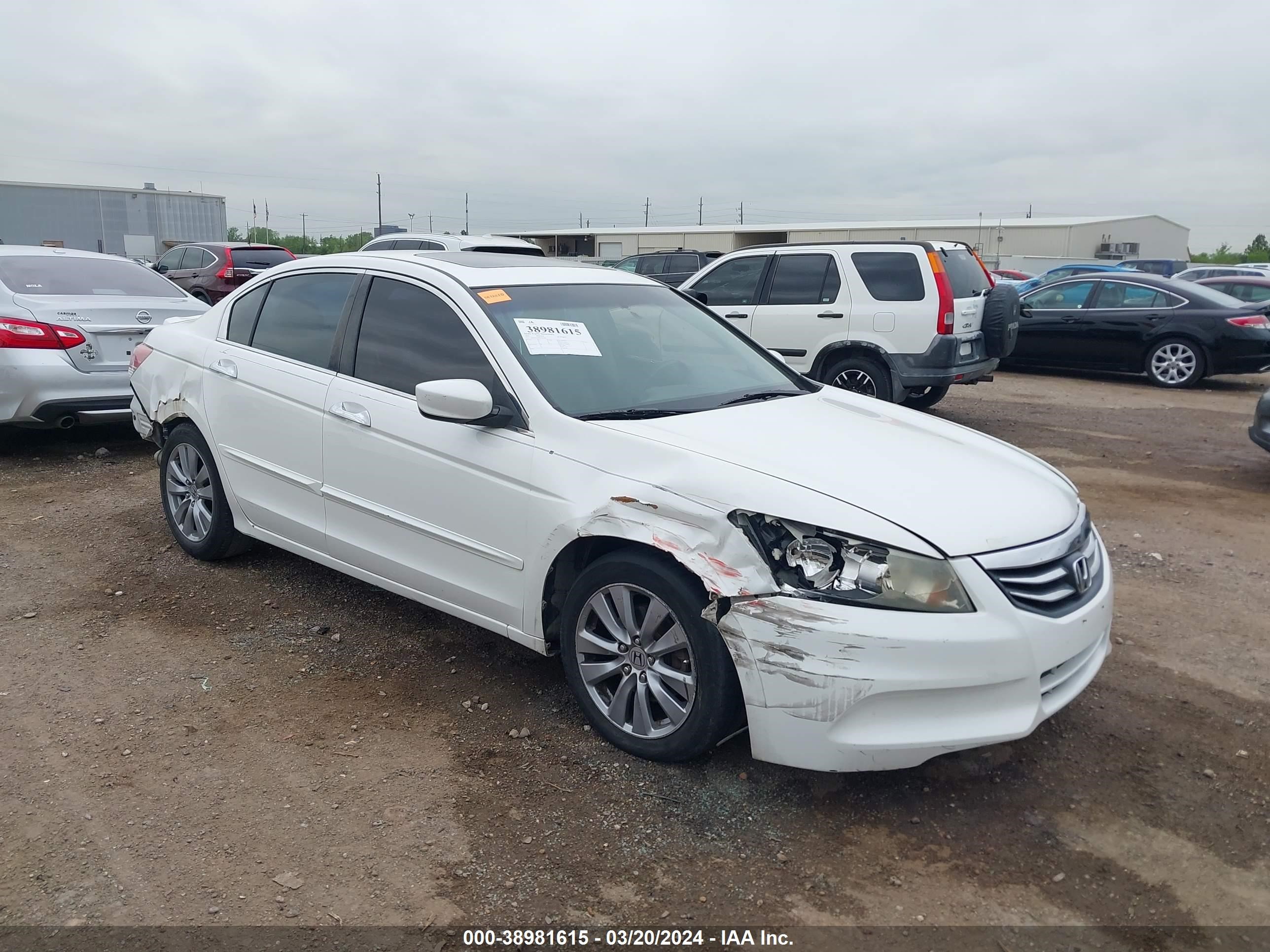 HONDA ACCORD 2011 1hgcp3f88ba029140