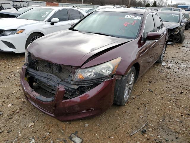 HONDA ACCORD EXL 2011 1hgcp3f88ba029297