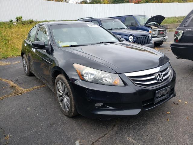 HONDA ACCORD EXL 2011 1hgcp3f88ba032006